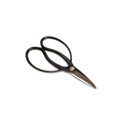 画像6: 盆栽５点セット　チャックケース入（八木光）