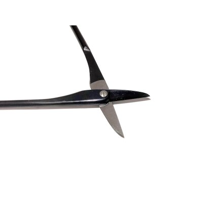 画像4: 芽つみ鋏（昌国）