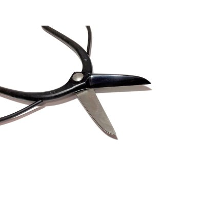 画像4: 黒磨剪定鋏（昌国）