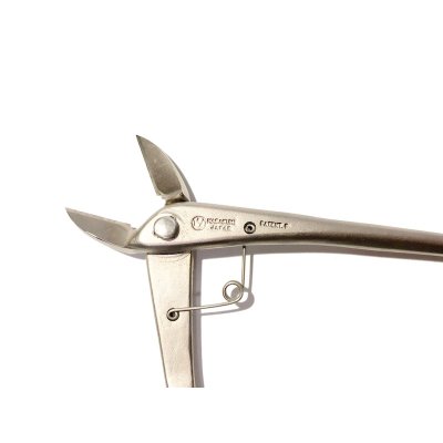 画像6: 白染反り刃又枝切（小）（昌国）