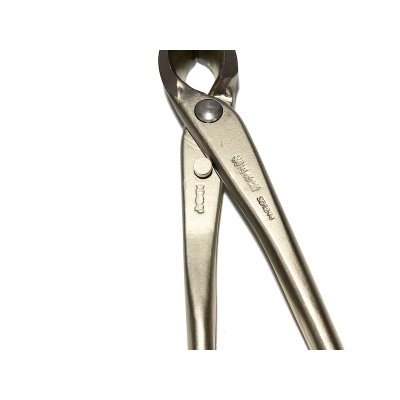 画像5: 白染又枝切（小）（昌国）