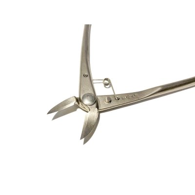 画像3: 白染反り刃又枝切（小）（昌国）