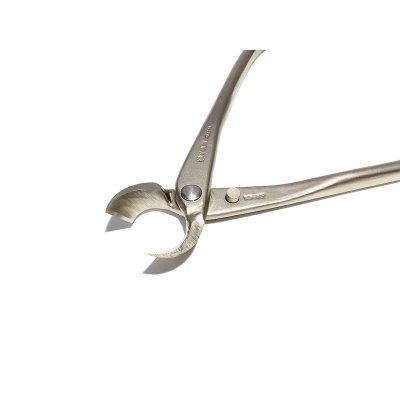 画像3: 白染又枝切（小）（昌国）