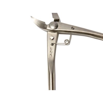 画像5: 白染反り刃又枝切（小）（昌国）