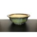 画像1: 常滑鉢　「鴻陽」　緑釉外縁輪花鉢 (1)