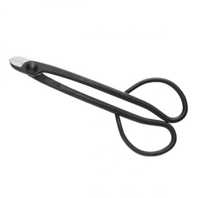 画像4: 小品盆栽８点セット（喜久和）