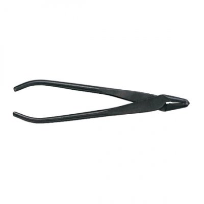 画像5: 小品盆栽８点セット（喜久和）