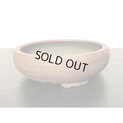 画像7: 常滑鉢　「美芸」　内縁鋲打丸鉢