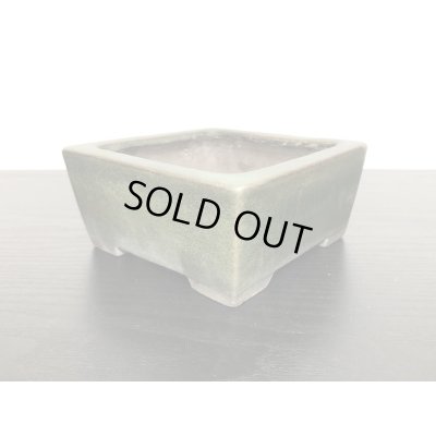 画像6: 常滑鉢　「松泉焼　山秋」　緑釉内縁正方鉢