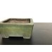 画像2: 常滑鉢　「松泉焼　山秋」　緑釉内縁正方鉢 (2)