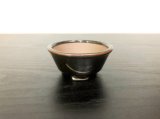 沈壽官窯小品盆栽鉢　薩摩焼/黒薩摩　「金のじ」　盆器外縁