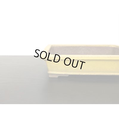 画像3: 常滑鉢　「松泉焼　山秋」　黄釉外縁長方鉢