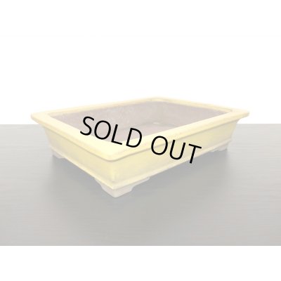 画像4: 常滑鉢　「松泉焼　山秋」　黄釉外縁長方鉢