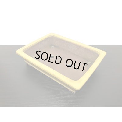 画像6: 常滑鉢　「松泉焼　山秋」　黄釉外縁長方鉢