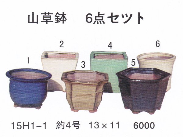 画像1: ミニ盆栽鉢セット（４号６品） (1)