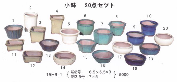 画像1: ミニ盆栽鉢セット（２号・２．５号２０品） (1)