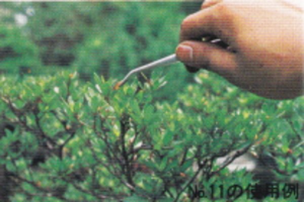 画像2: ピンセット(昌国) (2)