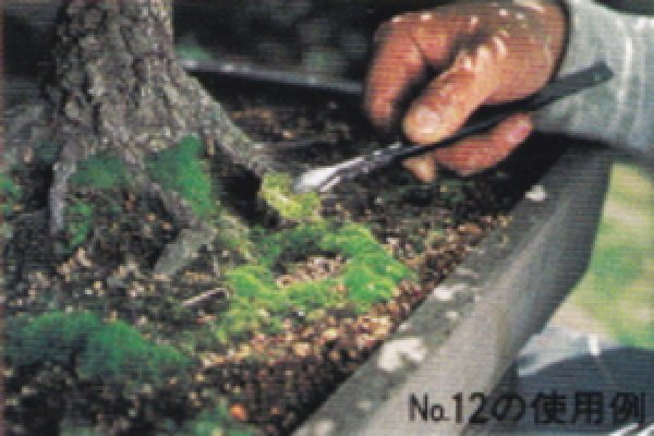 画像2: くも取りピンセット(昌国) (2)