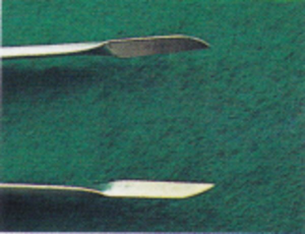 画像2: 新型芽つみ用ピンセット(昌国) (2)