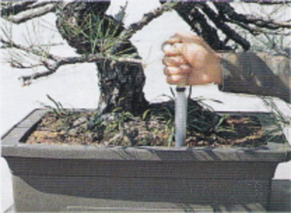 画像2: 両刃盆栽刀(深鉢抜き取り用)(昌国) (2)