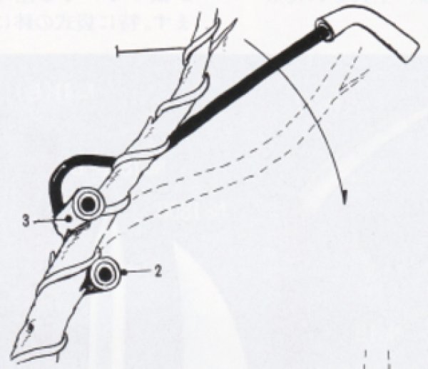 画像2: 自在テコ(昌国) <新製品> (2)