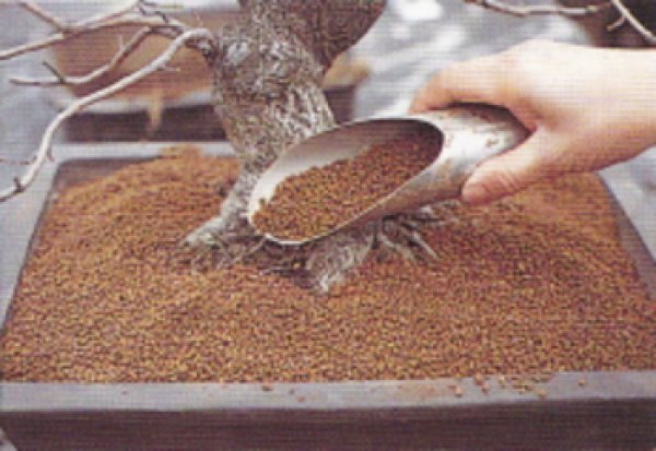 画像2: 土入れ3点セット(昌国) (2)