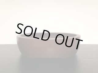 盆栽/盆栽道具/盆栽鉢の販売/通販総合モール From Japan