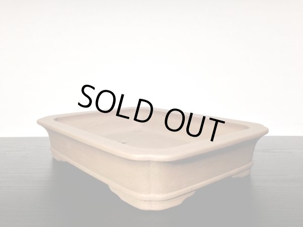 画像4: 常滑鉢　「佳山」　紫泥外縁隅入下帯長方鉢 (4)