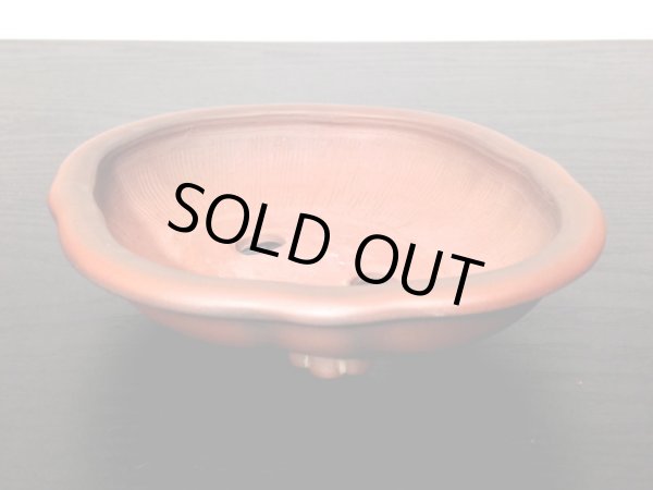 画像6: 常滑鉢 「美芸」 朱泥外縁木瓜鉢 (6)