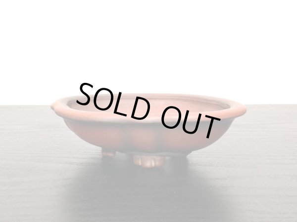 画像8: 常滑鉢 「美芸」 朱泥外縁木瓜鉢 (8)