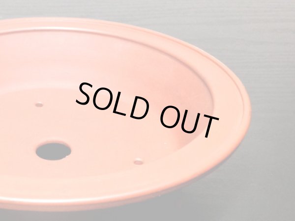 画像8: 常滑鉢 「美芸」 朱泥雲足外縁丸鉢 (8)