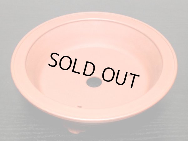 画像6: 常滑鉢 「美芸」 朱泥雲足外縁丸鉢 (6)