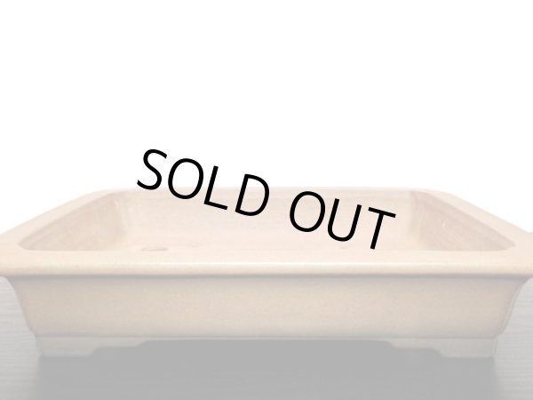 画像7: 常滑鉢 「中野行山」 紫泥隅入外縁長方鉢 (7)