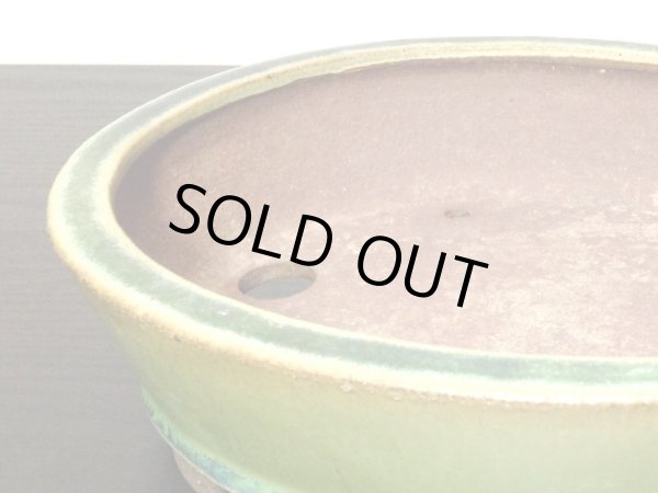 画像5: 常滑鉢　「松泉焼　山秋」　緑釉内縁楕円中浅鉢 (5)