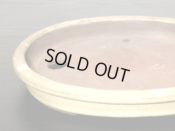 画像5: 常滑鉢　「松泉焼　山秋」　白釉外縁楕円浅鉢 (5)