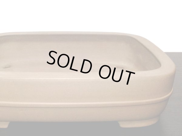 画像7: 常滑鉢　「中野行山」　紫泥胴紐撫角長方鉢 (7)