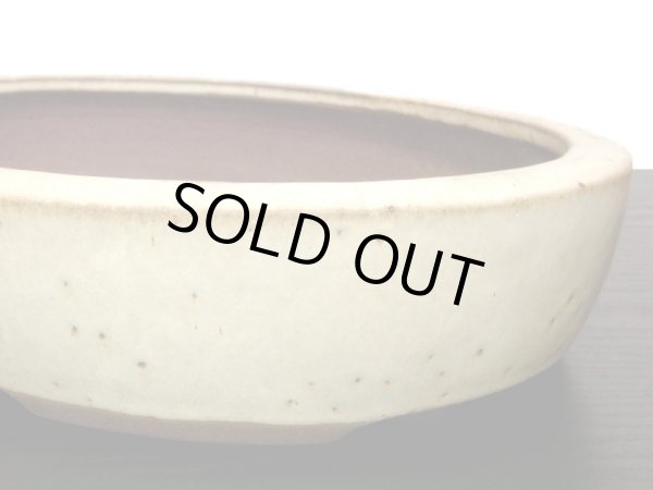 画像5: 常滑鉢 「松泉焼 山秋」 白釉内縁楕円鉢 (5)