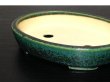 画像8: 常滑鉢　「鴻陽」　織部釉切立楕円鉢 (8)