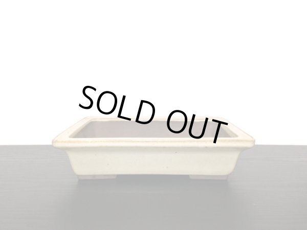 画像9: 常滑鉢　「山秋造印」　白釉外縁長方鉢 (9)