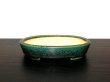 画像1: 常滑鉢　「鴻陽」　織部釉切立楕円鉢 (1)