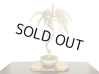 昭和レトロ 高級漆器 木製 リーフ柄 金蒔絵 花瓶台 花台 盆栽台 平卓 座卓 送料無料】 純金 盆栽 竹 A 3号・100g / 光則（金工芸） 高級