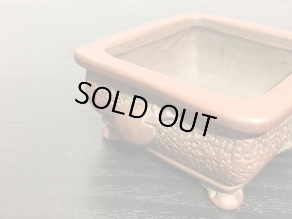 画像7: 常滑鉢　「美芸」　朱泥外縁野菜付小鉢 (7)