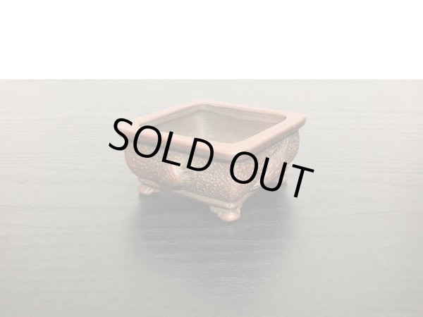 画像9: 常滑鉢　「美芸」　朱泥外縁野菜付小鉢 (9)