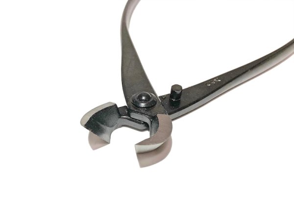 画像3: 又枝切 小(八木光) (3)