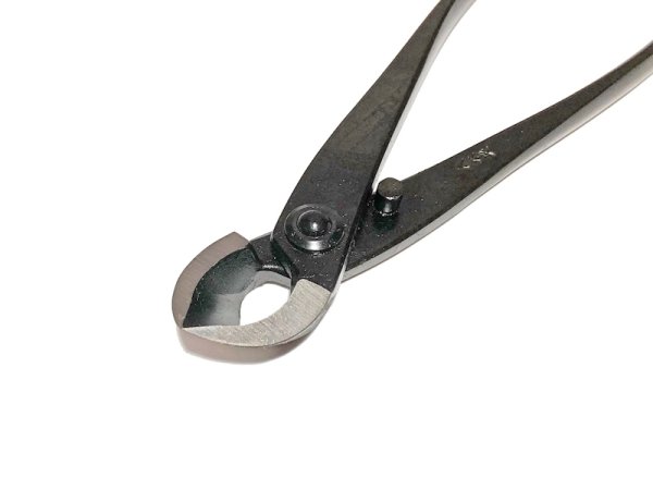 画像2: 又枝切 小(八木光) (2)