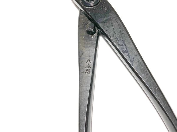 画像4: 又枝切 小(八木光) (4)