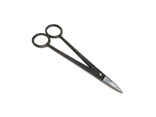 画像5: 盆栽6点セット チャックケース入(八木光) (5)