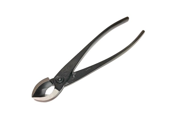 画像2: 盆栽5点セット チャックケース入(八木光) (2)