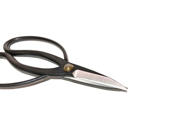 画像2: スーパー鋼盆栽鋏(隆光) (2)