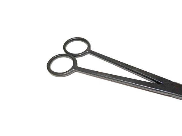 画像3: 五葉芽切鋏(八木光) (3)